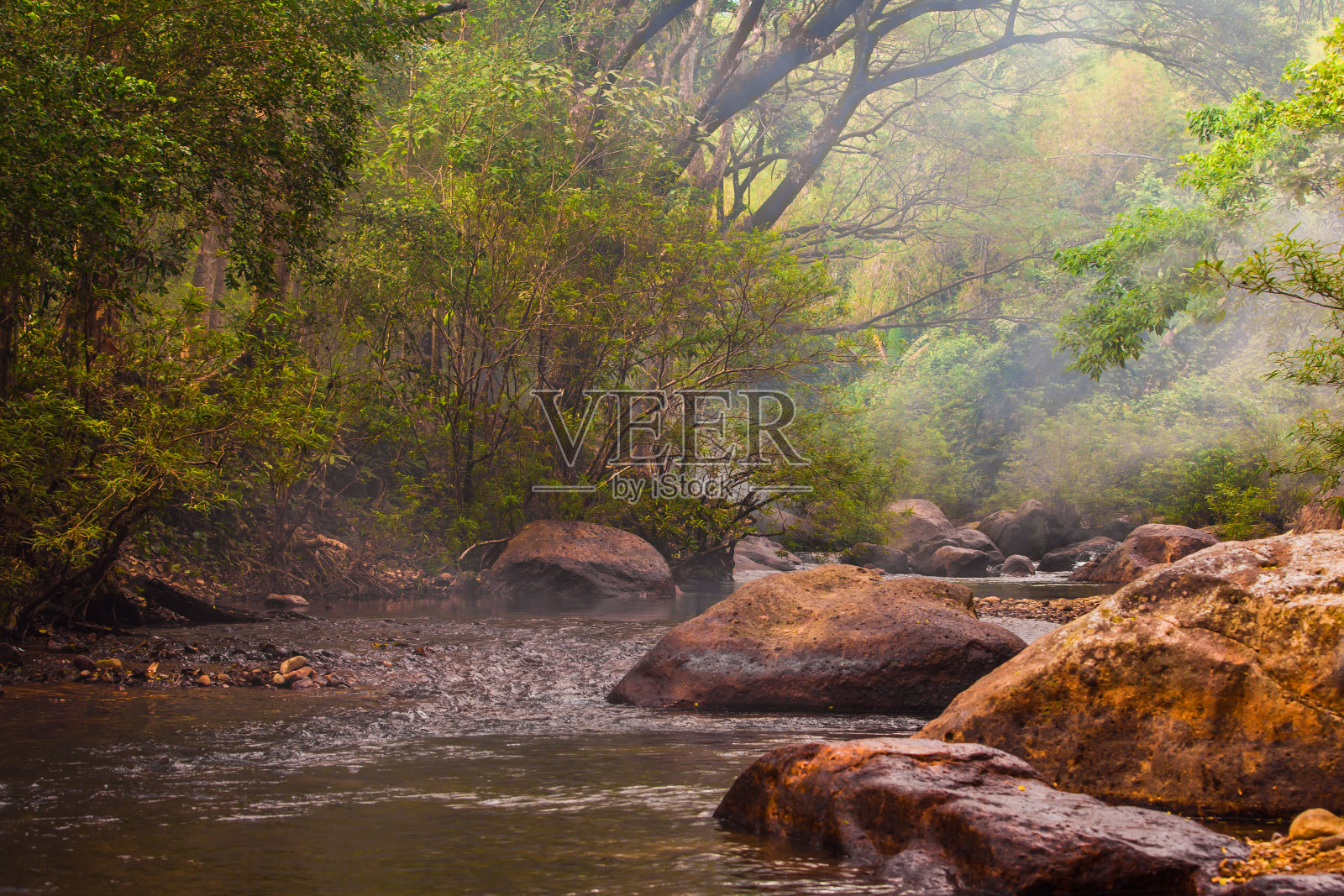 温泉水源来自泰国北部山区的森林照片摄影图片