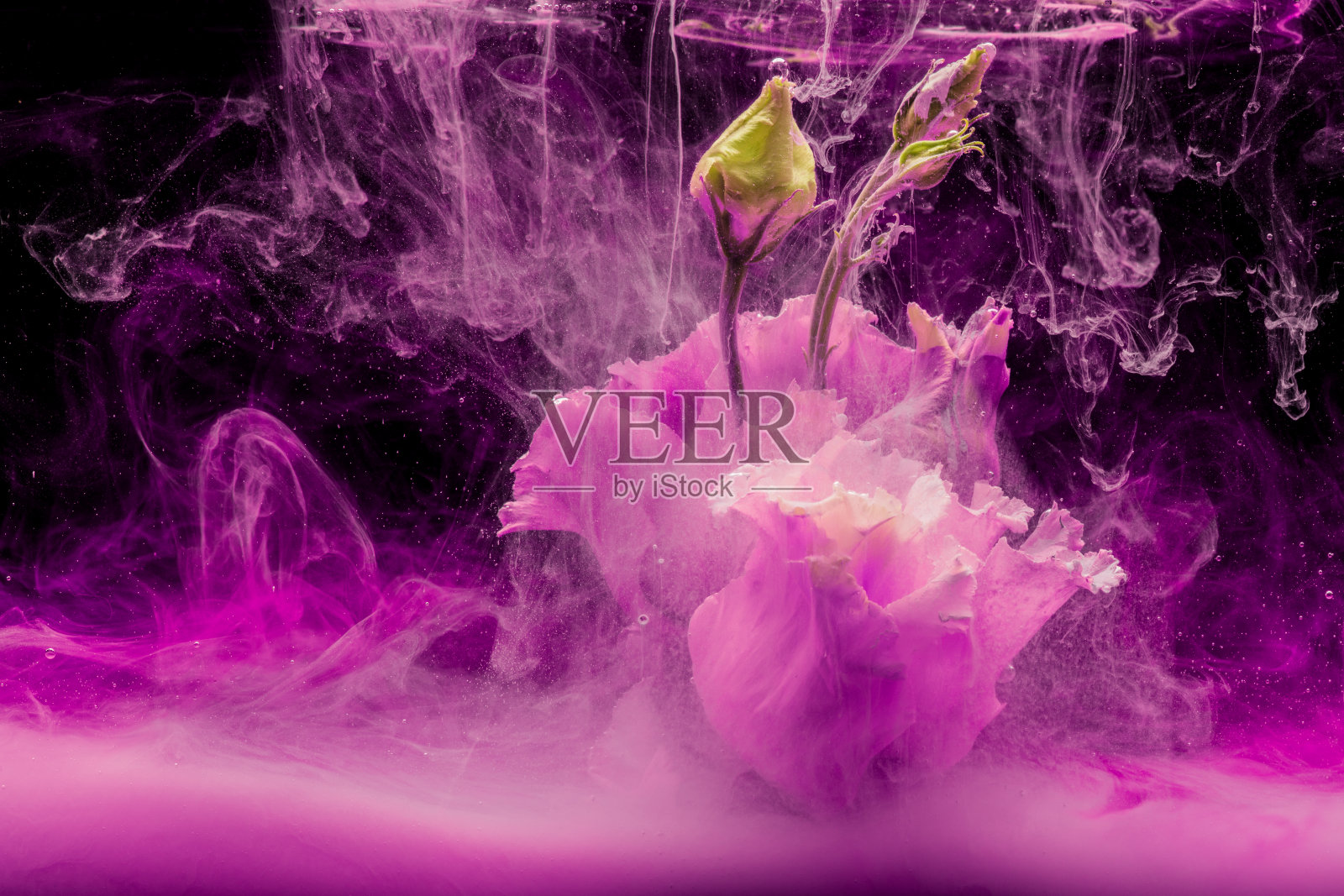 五彩水中的花照片摄影图片