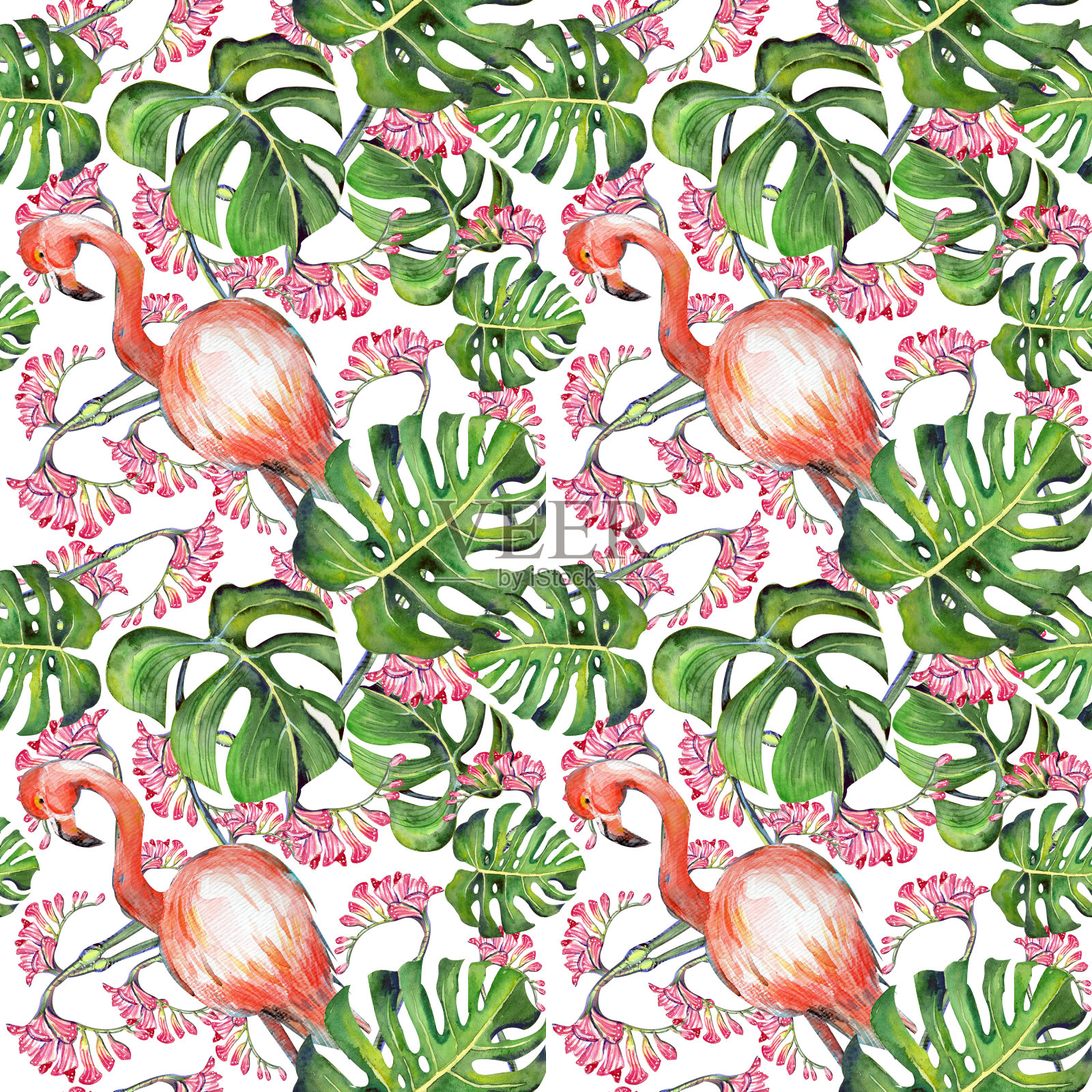 图案与火烈鸟和热带树叶插画图片素材