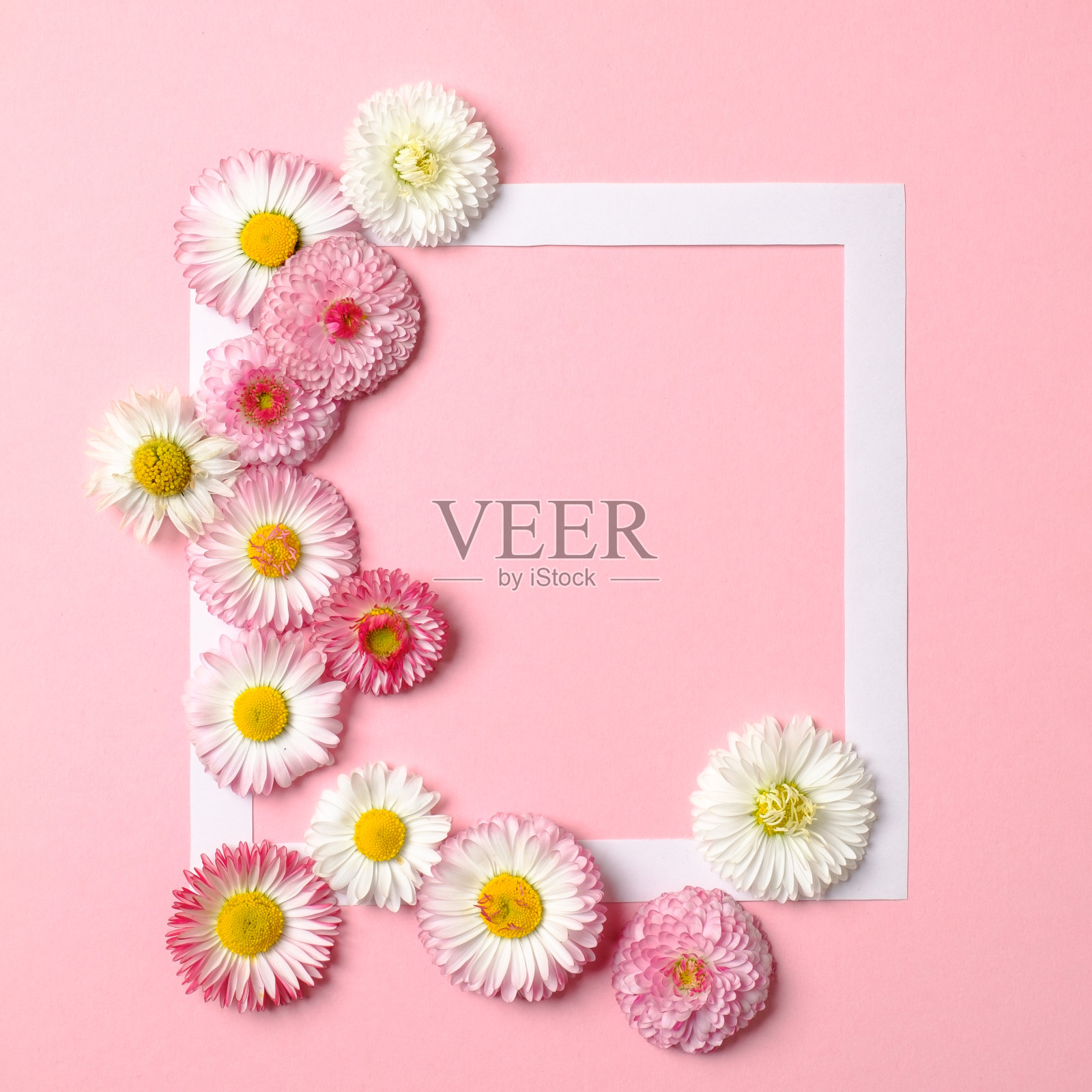 色彩缤纷的春花和粉彩背景纸边框的创意布局。最小的节日的概念。平的模式。顶视图,开销。照片摄影图片