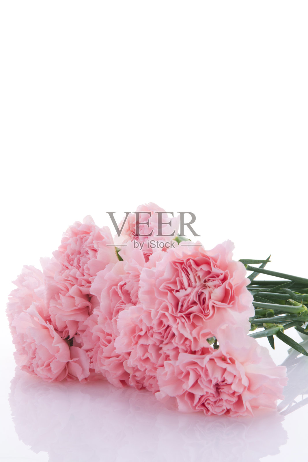 母亲节，康乃馨，粉色康乃馨，照片摄影图片