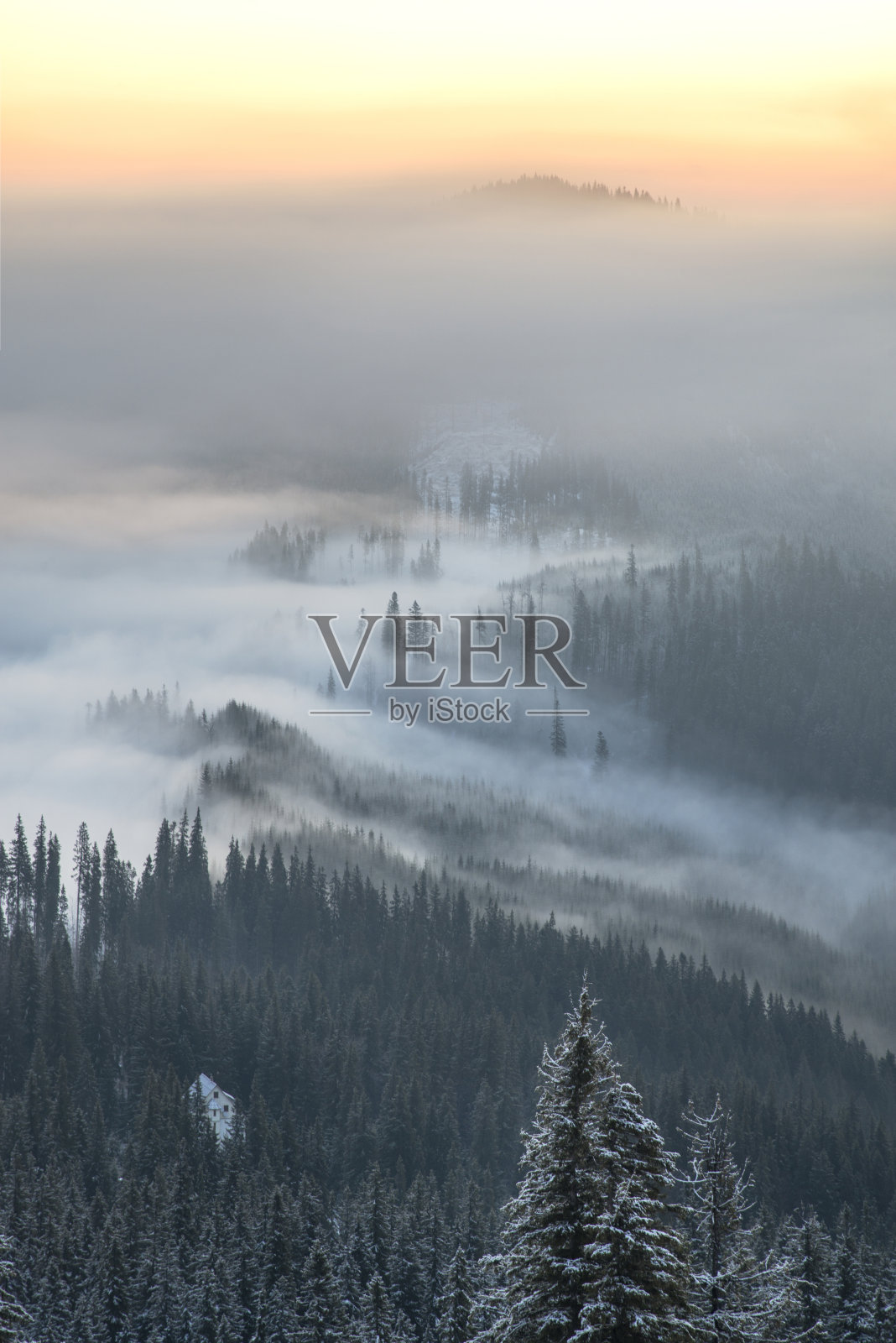 日出时分，大雾笼罩着群山照片摄影图片