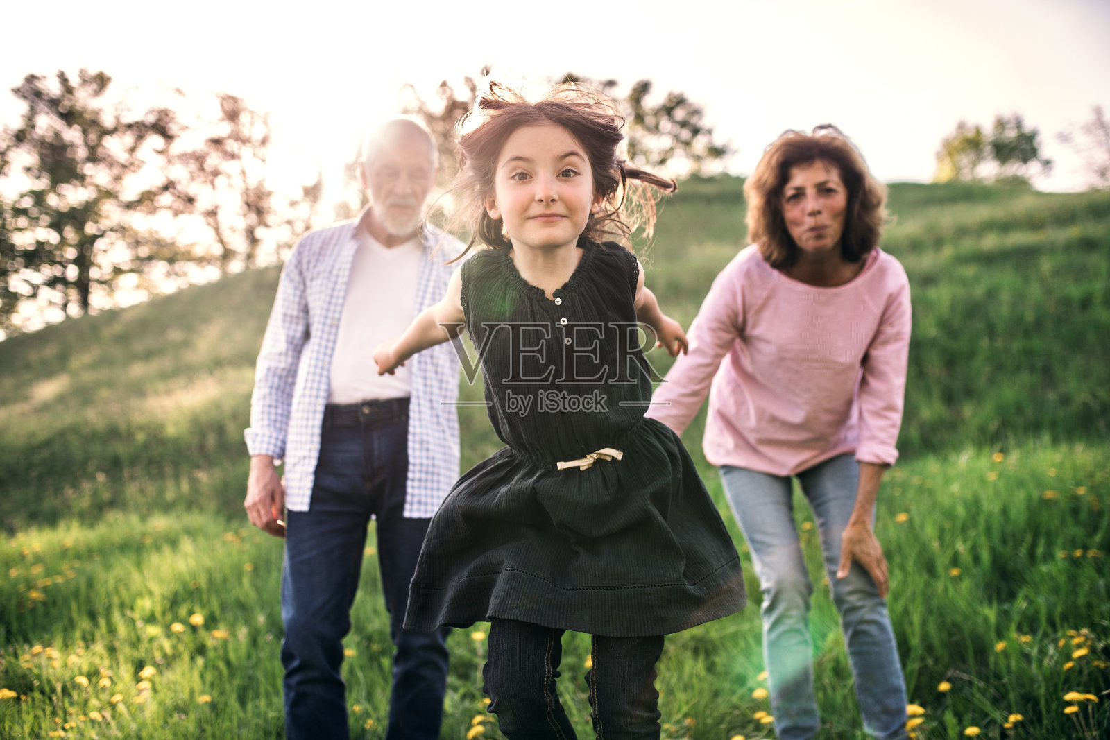 老两口带着孙女在外面春日的大自然中。照片摄影图片