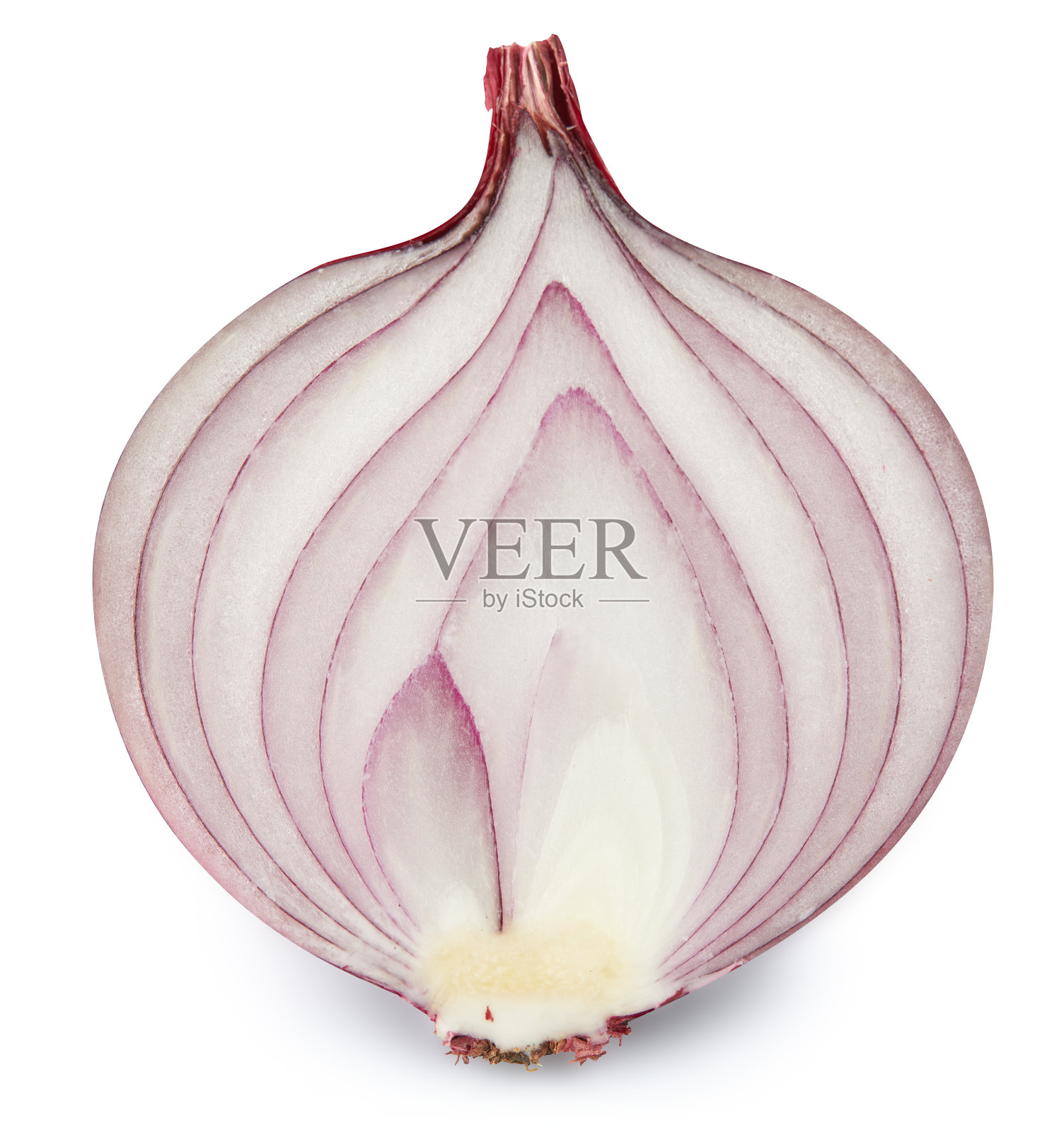 白色孤立的洋葱照片摄影图片