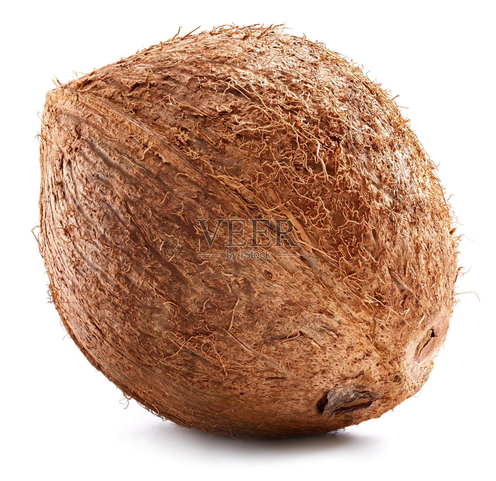 椰子孤立的剪切路径照片摄影图片