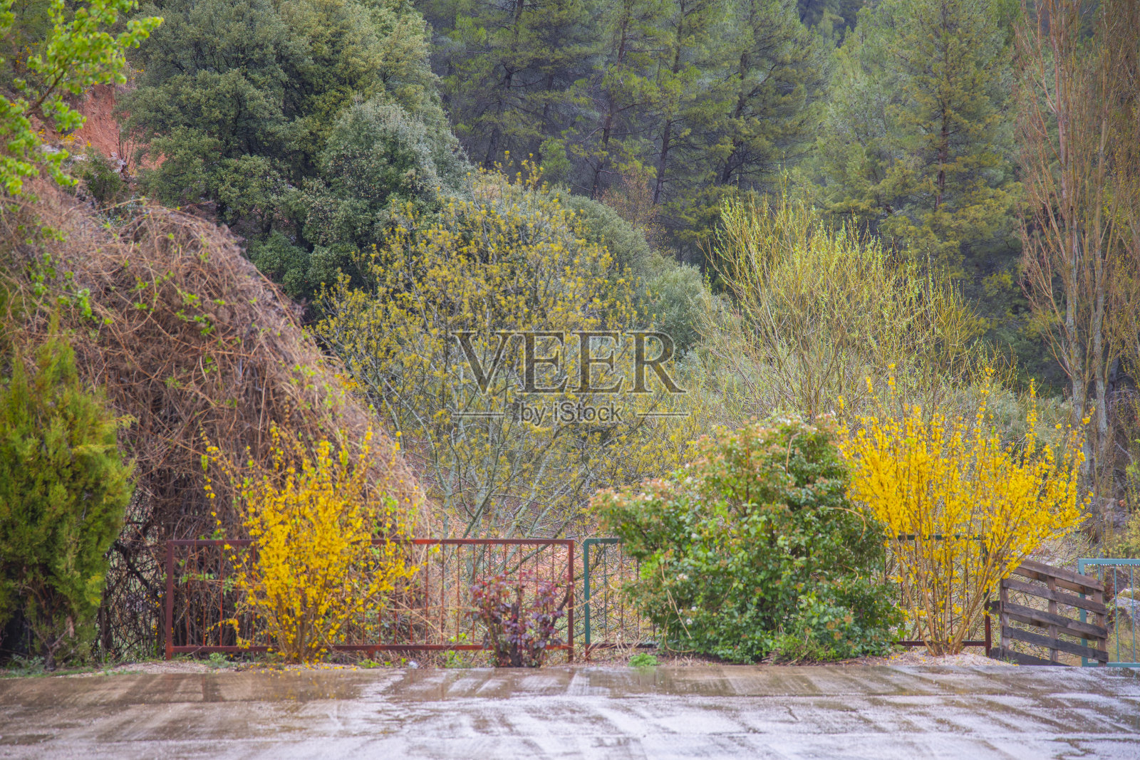 塞古拉山脉，阿尔瓦塞特，寒冷多雨的春天。照片摄影图片