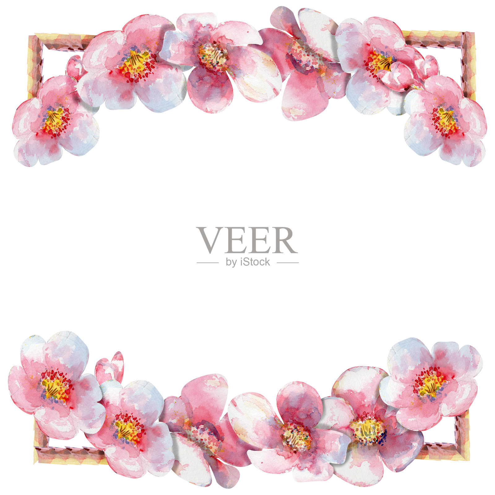 樱花相框插画图片素材