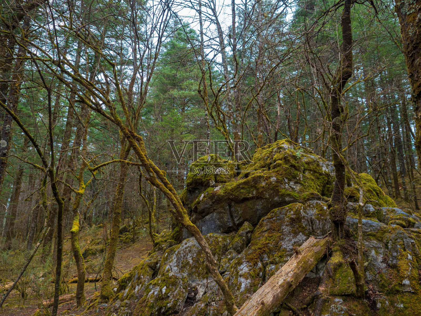 玉龙雪山景观在丽江，云南，中国。照片摄影图片