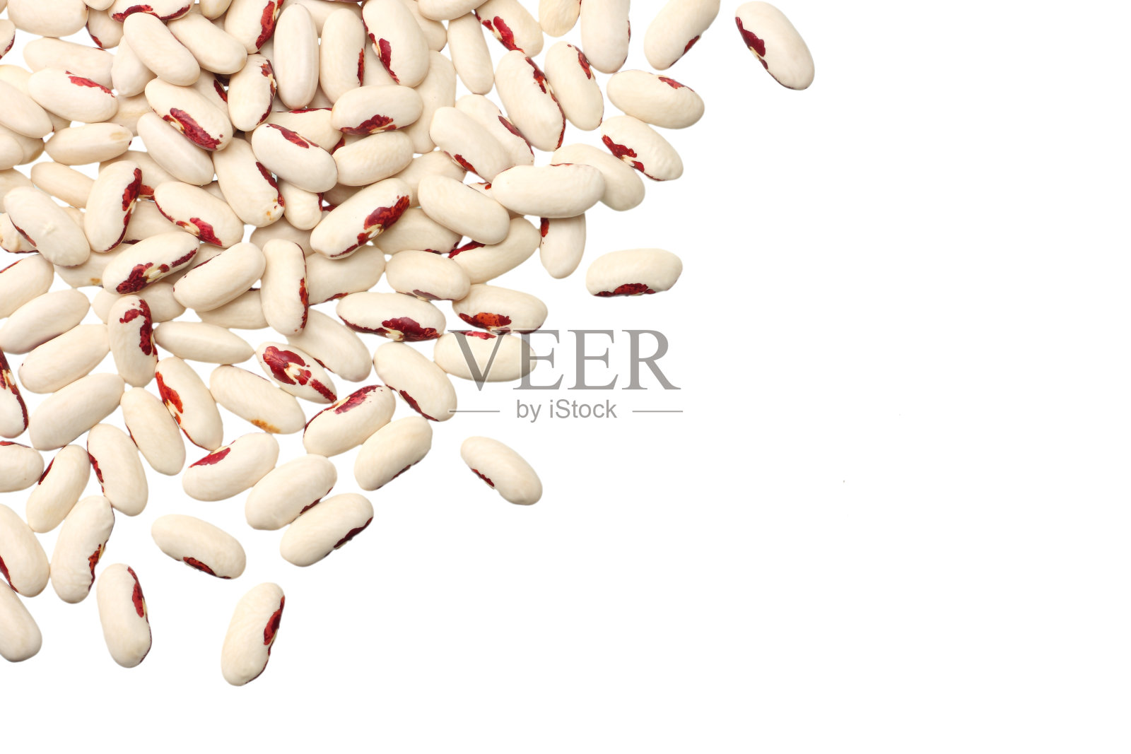 白色背景下分离的白色芸豆。俯视图照片摄影图片