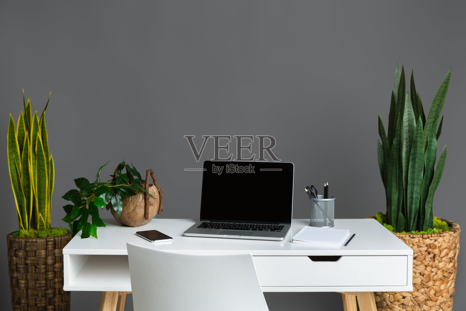 舒适的家庭办公室。笔记本电脑和各种植物照片摄影图片