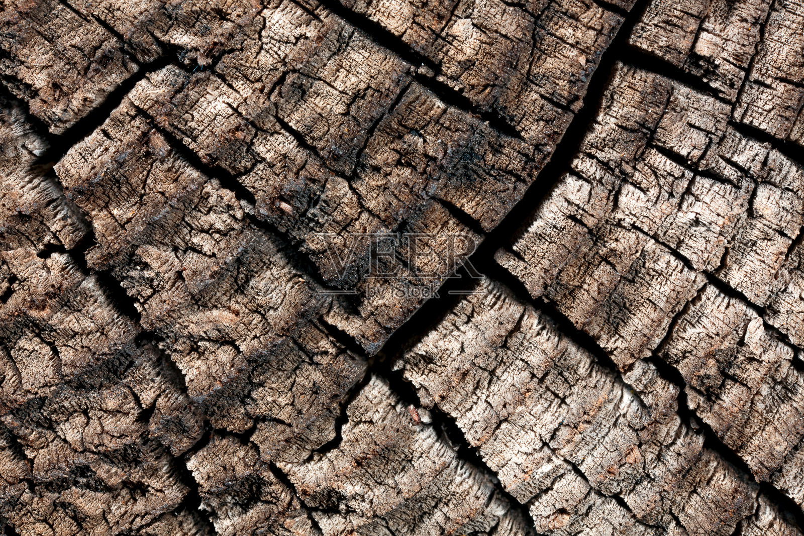 木有裂缝。照片摄影图片