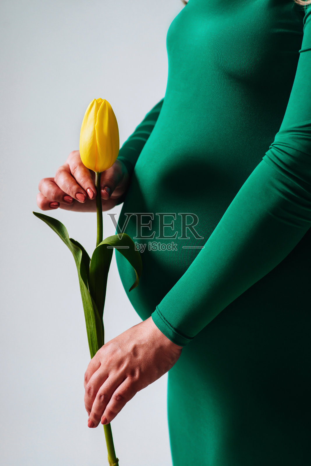 拿着一朵郁金香花的漂亮女孩照片摄影图片