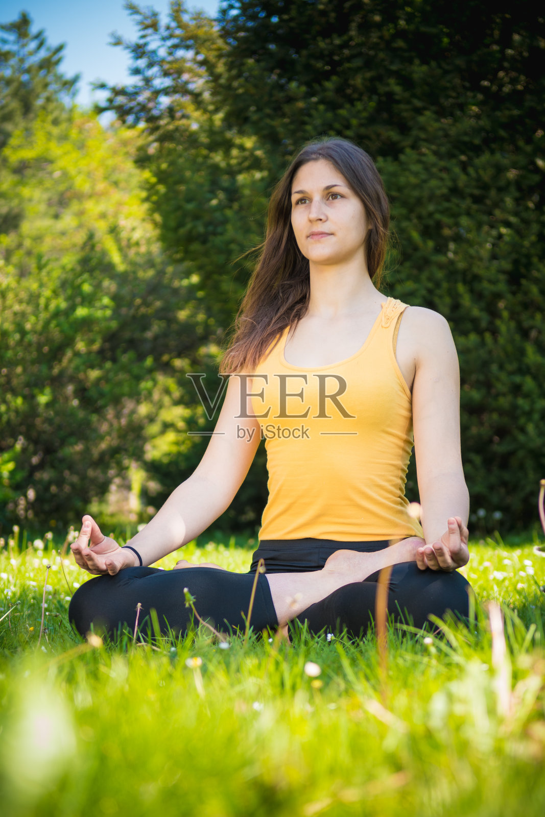 美丽的女孩在公园里练瑜伽照片摄影图片