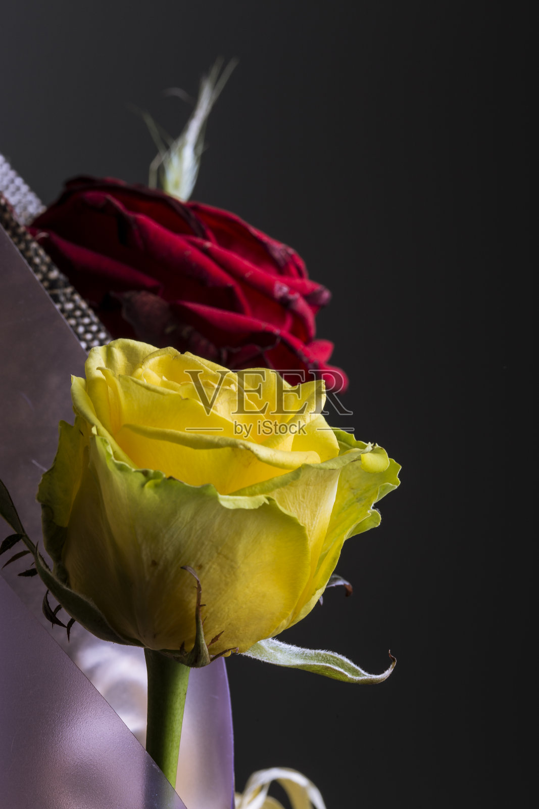 黄色和红色的玫瑰花束在灰色的背景上照片摄影图片