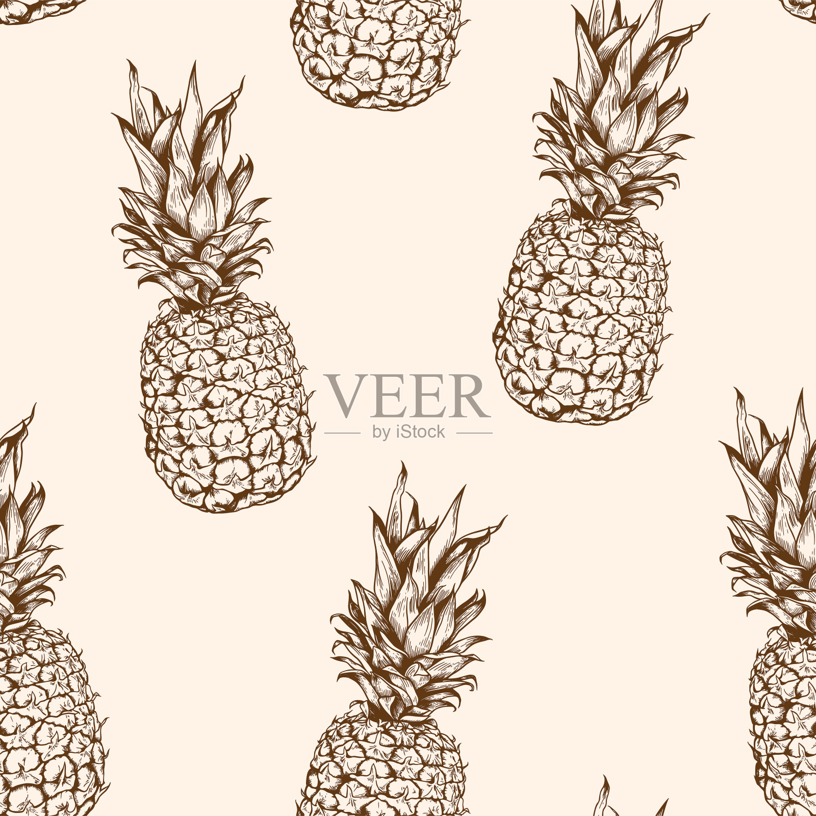 古董热带背景。插画图片素材