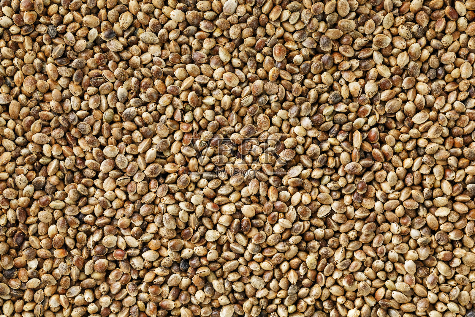 大麻种子。关闭了。空间的文本。照片摄影图片