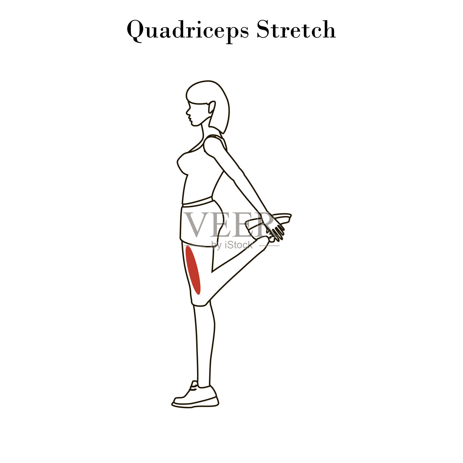 四头肌伸展运动大纲插画图片素材