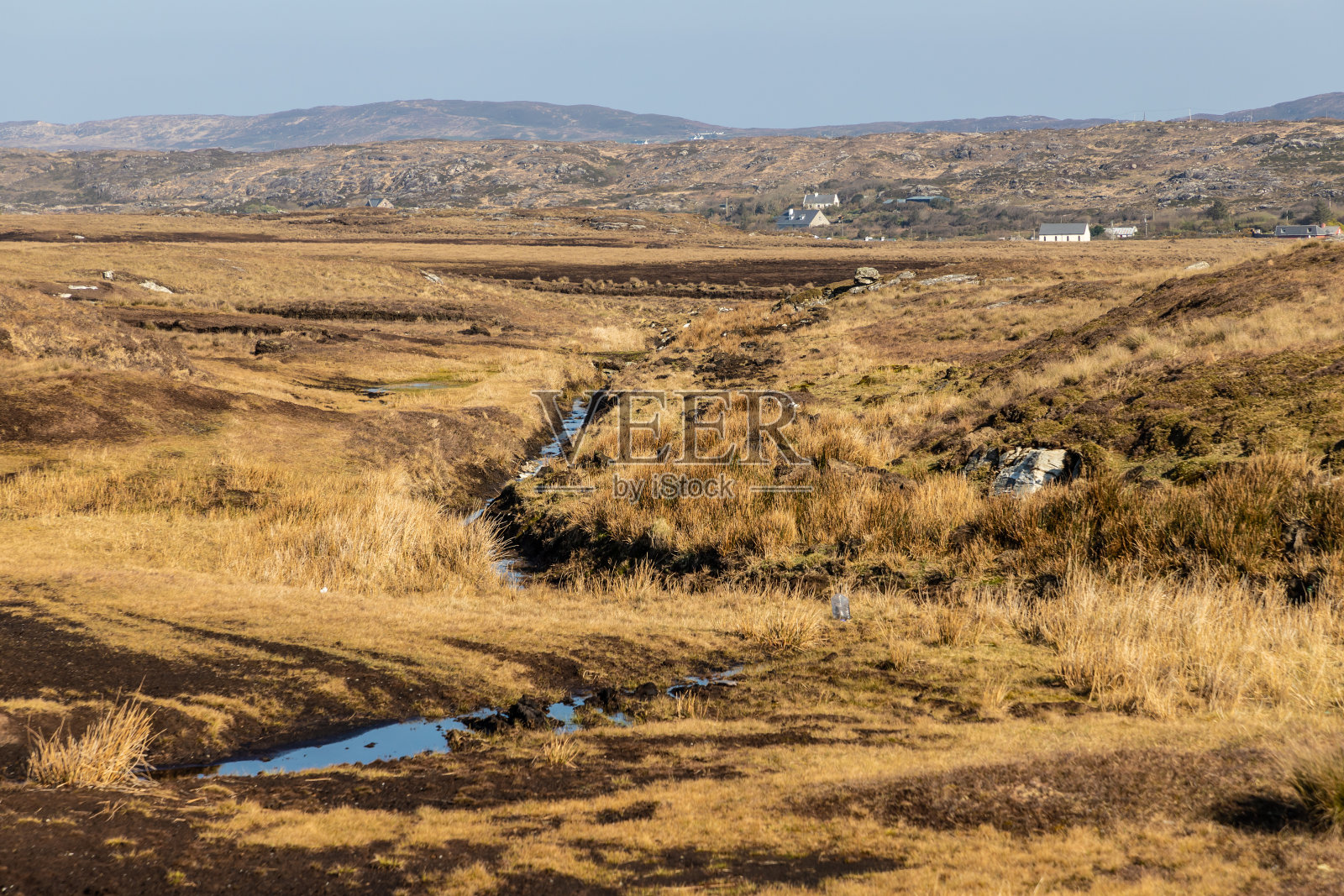 有植被和农场的沼泽照片摄影图片