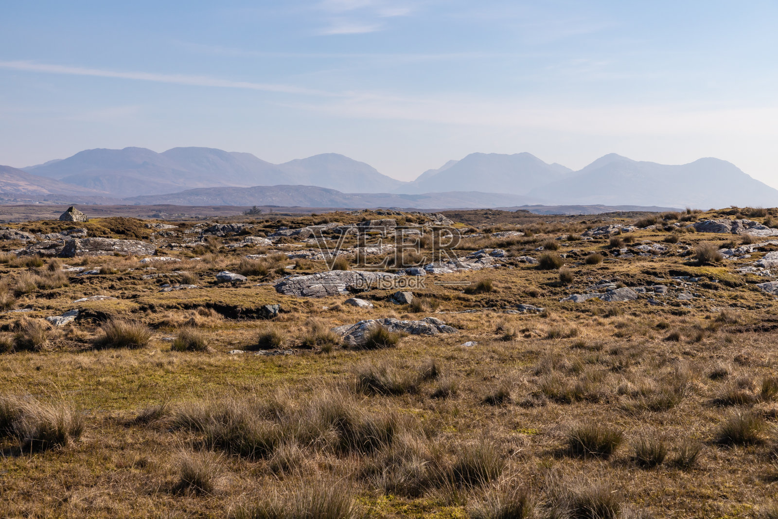 沼泽中的岩石，后面是十二本山照片摄影图片
