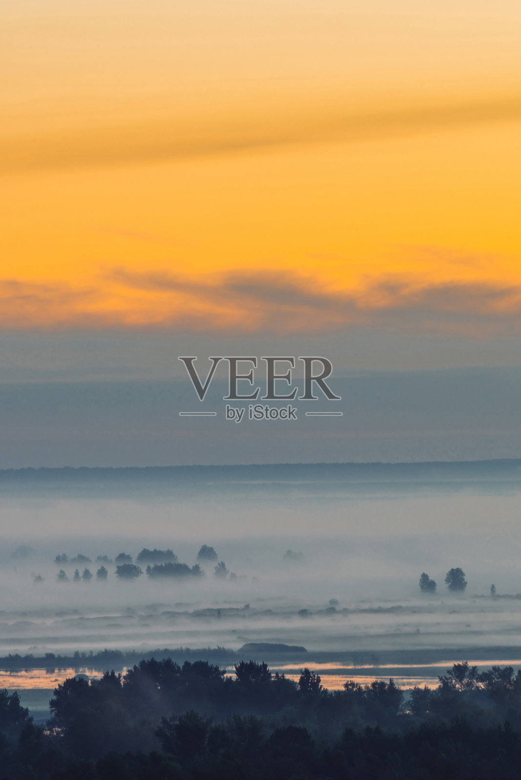 清晨迷雾笼罩下的神秘森林。黎明前的天空下，树间的薄雾映出轮廓。金色的光在水中反射。宁静的早晨，大气简约的景观，宏伟的自然。照片摄影图片