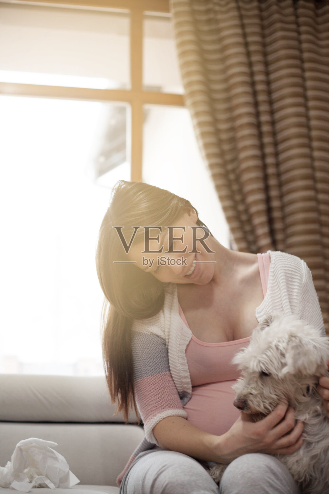 怀孕的狗主人。照片摄影图片