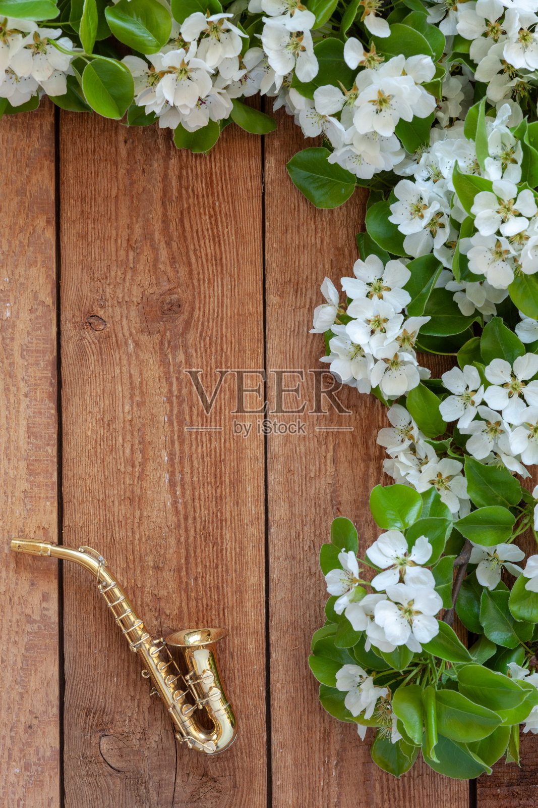 金色的萨克斯管和开花的苹果树枝。俯视图，特写复古背景照片摄影图片