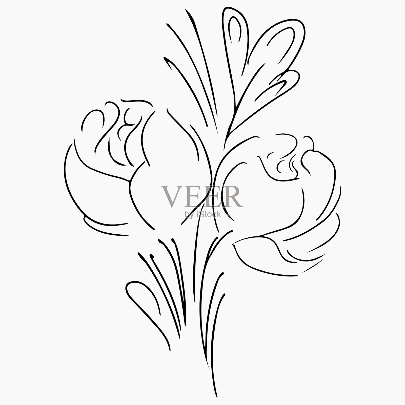 灰色上孤立的牡丹花手绘矢量图花卉设计元素的邀请贺卡海报博客手绘