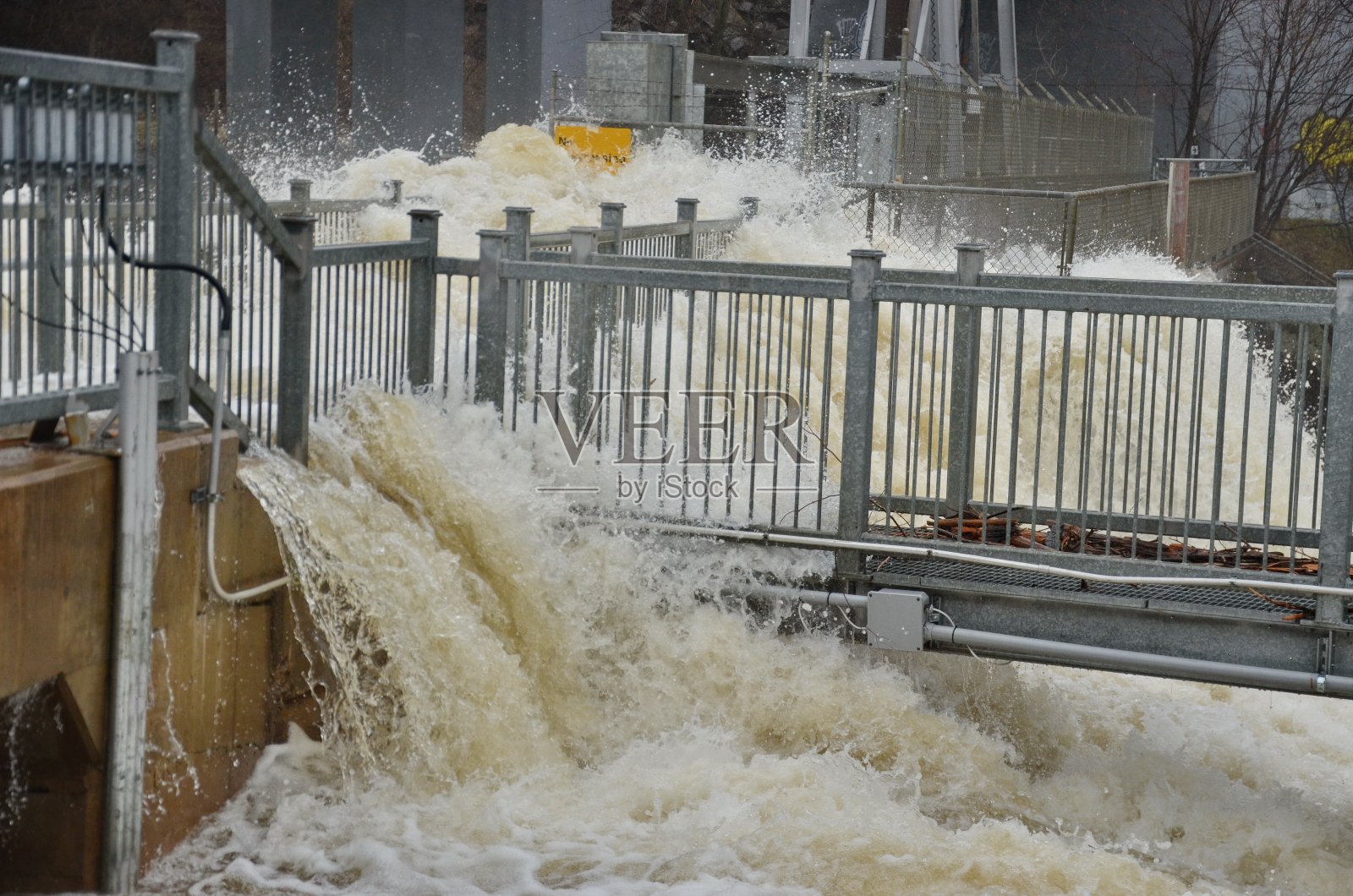 联桥春汛，2019照片摄影图片