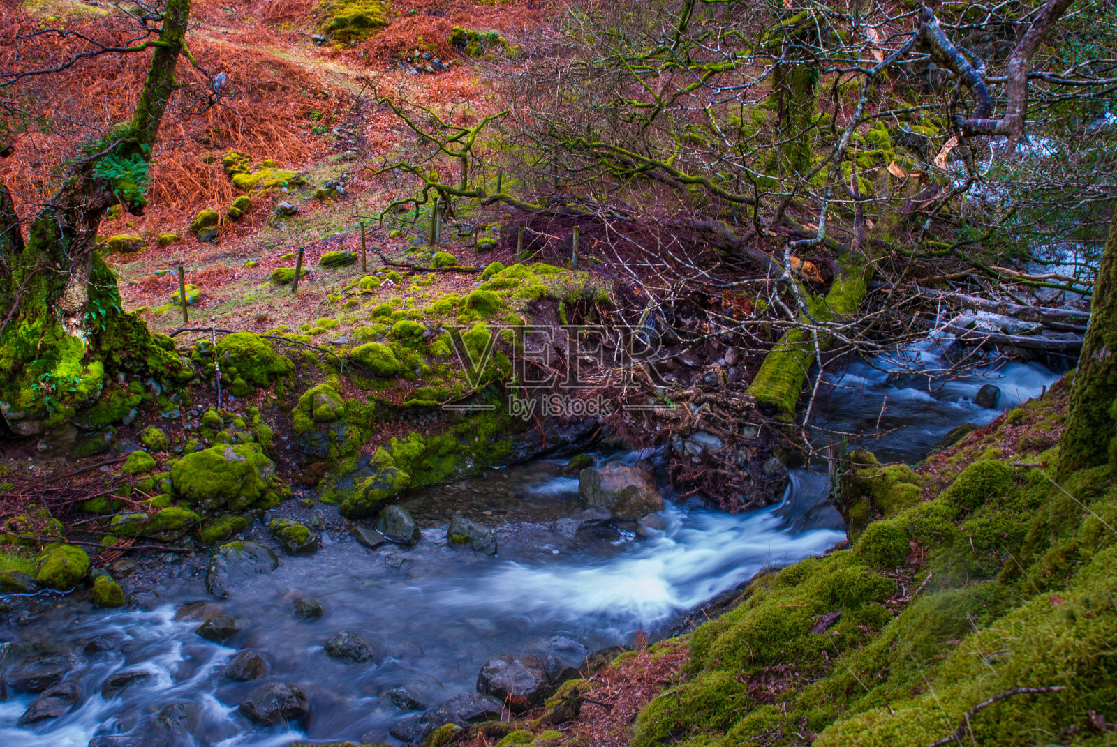 瀑布，绿色森林，河流，小溪景观。照片摄影图片