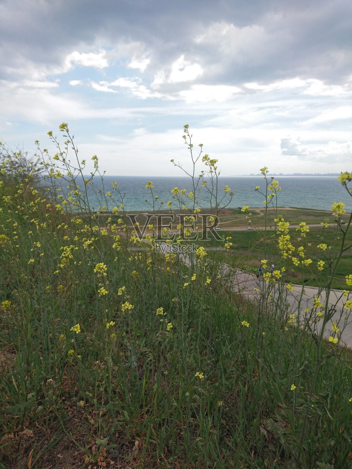 美丽的海景照片摄影图片