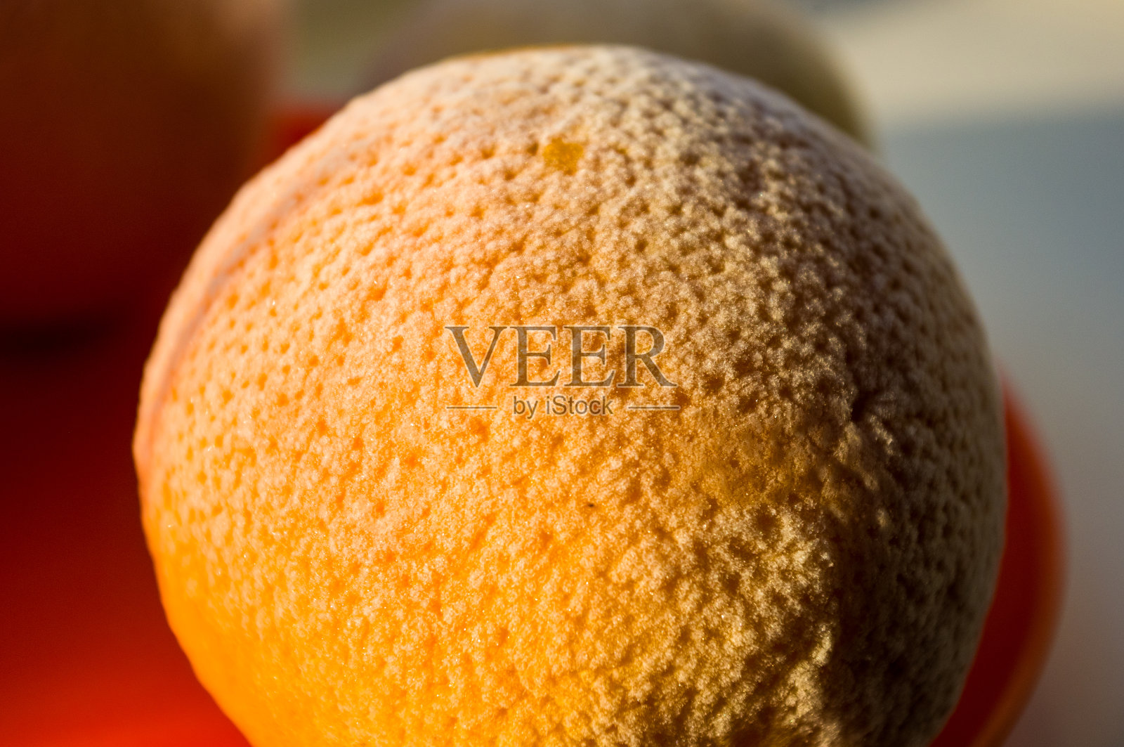 红色盘子上放着冰冻的橙子和柠檬，上面覆盖着霜照片摄影图片