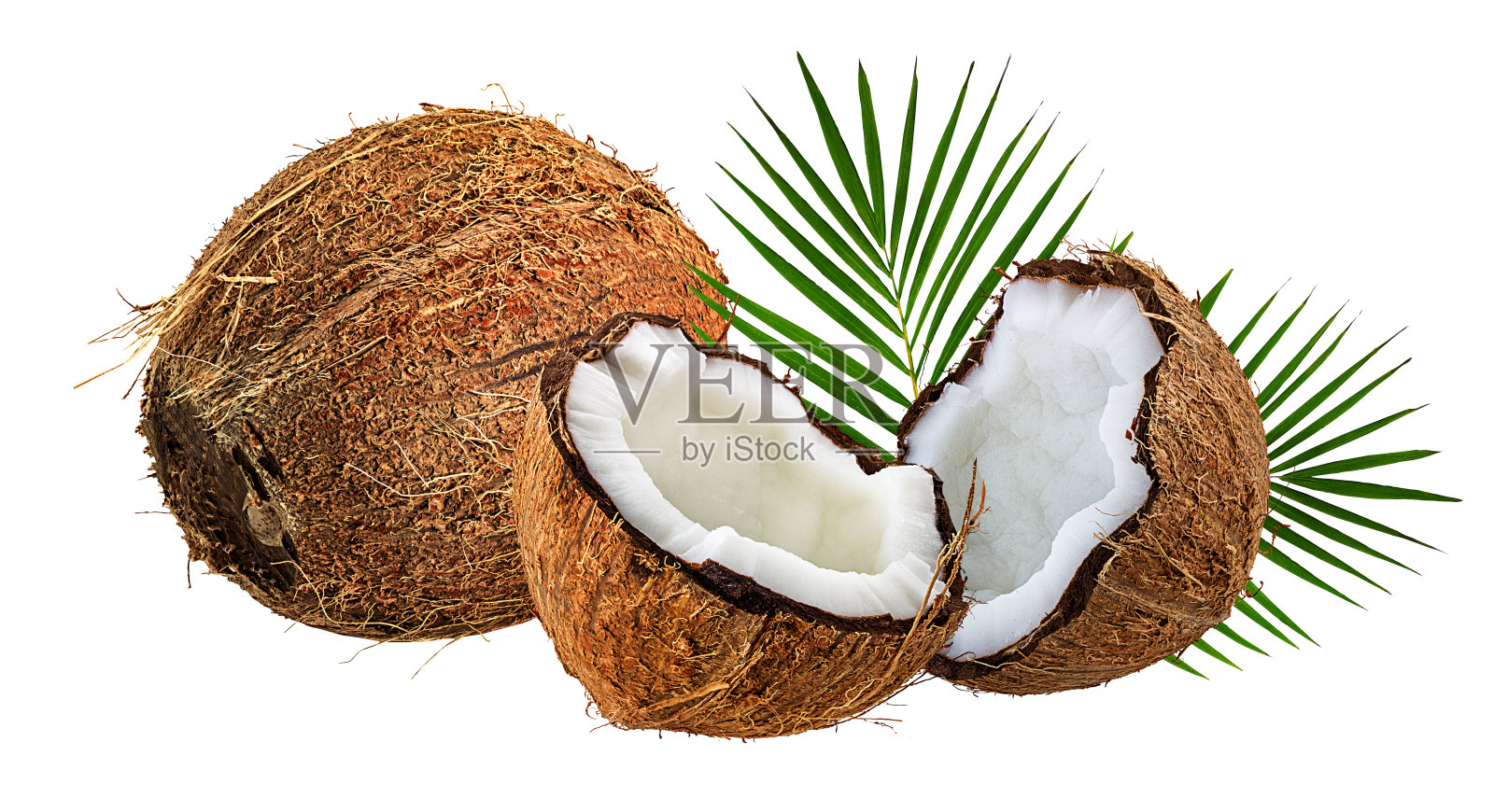 椰子孤立在白果上照片摄影图片