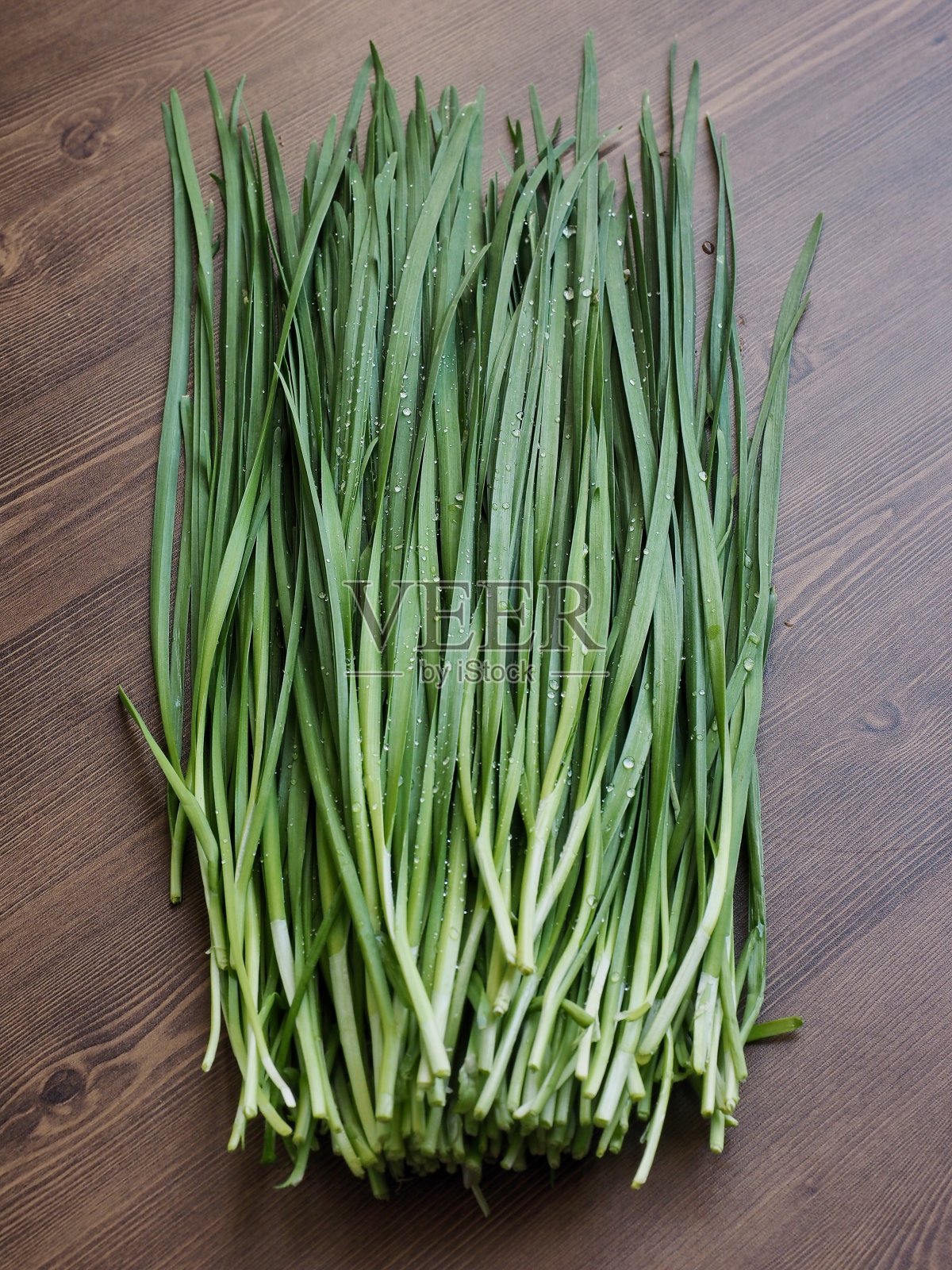 韩国鲜韭菜，有机农业照片摄影图片