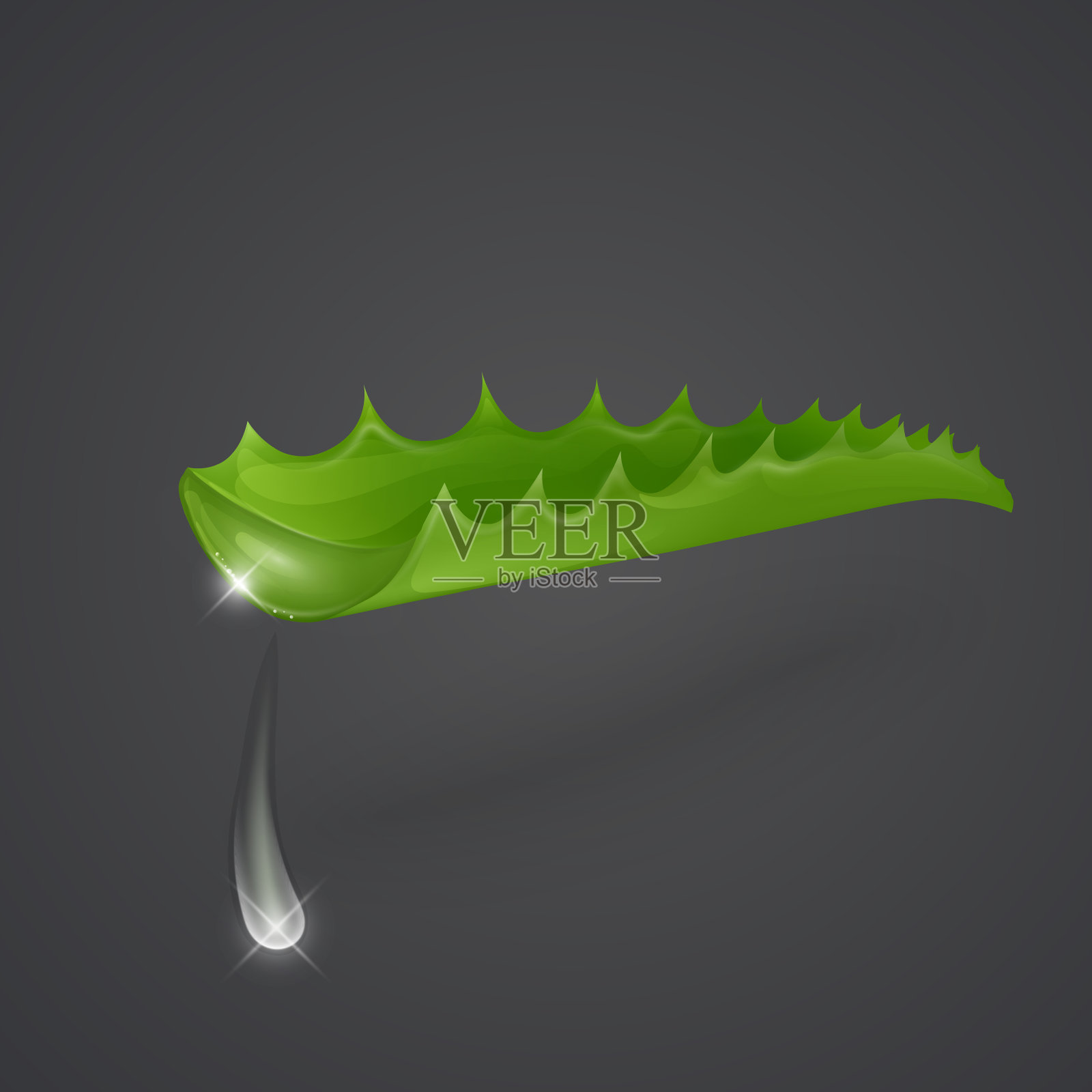 芦荟矢量插图孤立在黑暗的背景插画图片素材