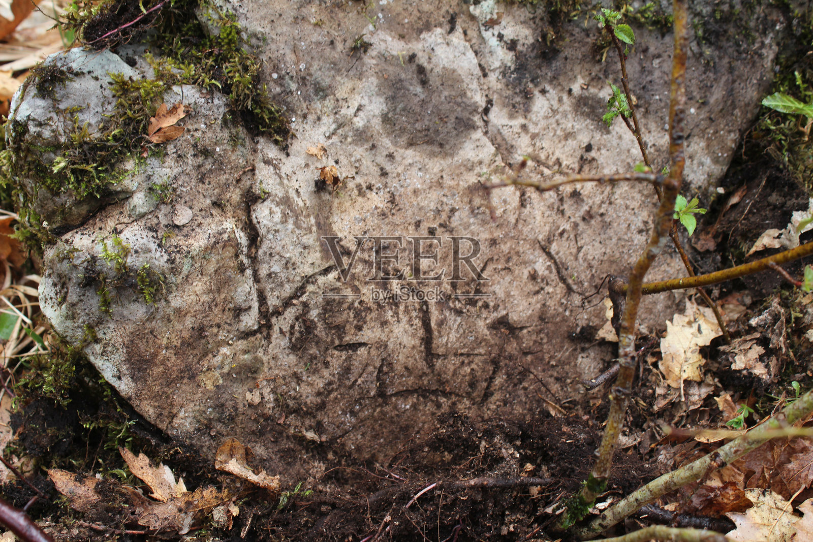 兹拉蒂博尔山上一座古老的石头堡垒的废墟照片摄影图片