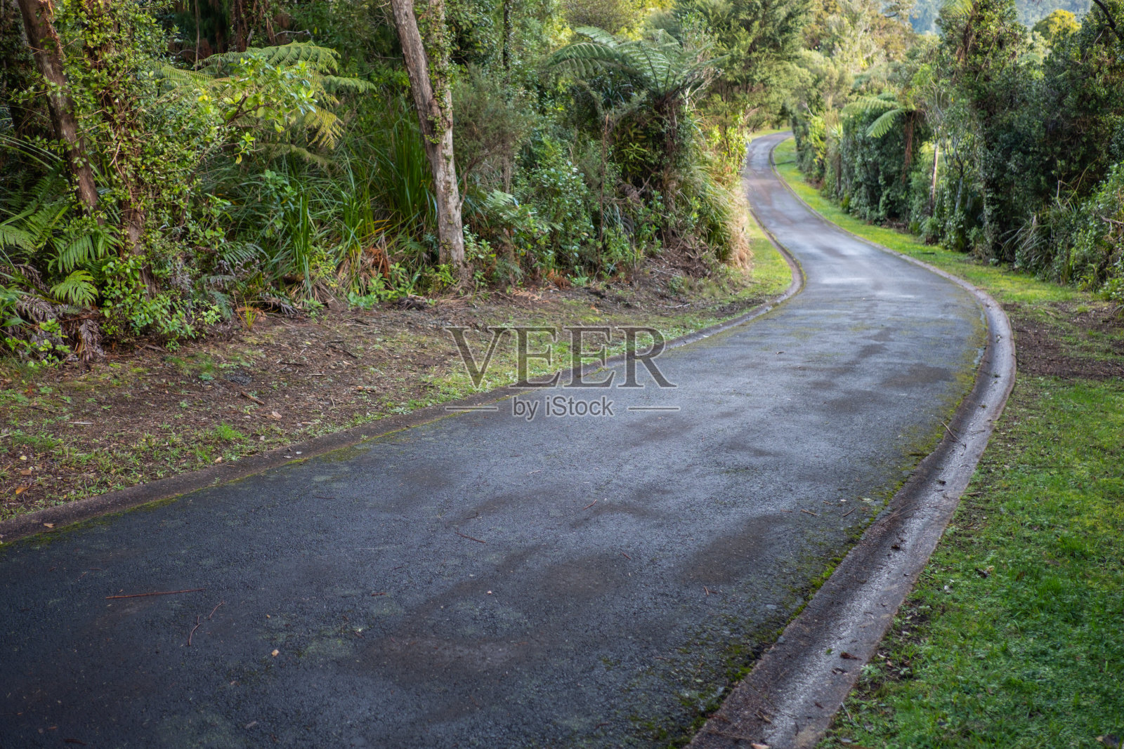 前进的方向，新西兰照片摄影图片