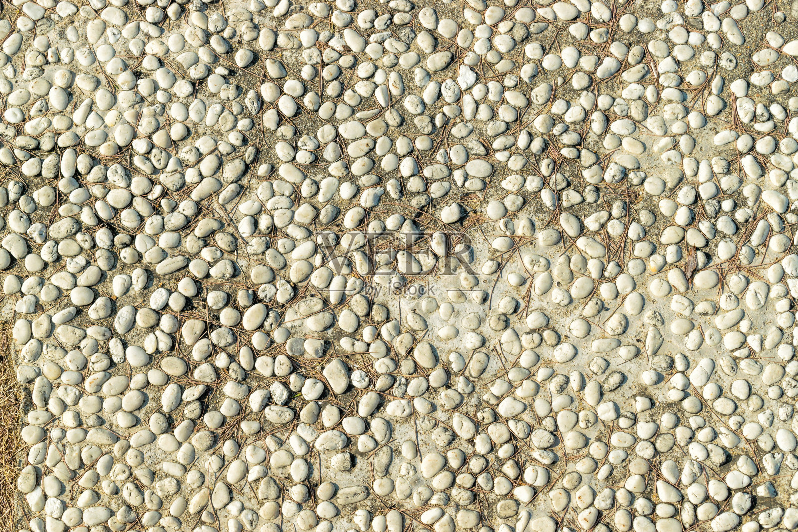 云杉针的圆形石头纹理照片摄影图片