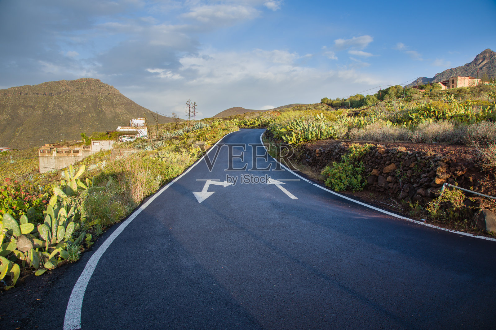 到泰德国家公园的卡米诺拉斯霍亚斯路。照片摄影图片