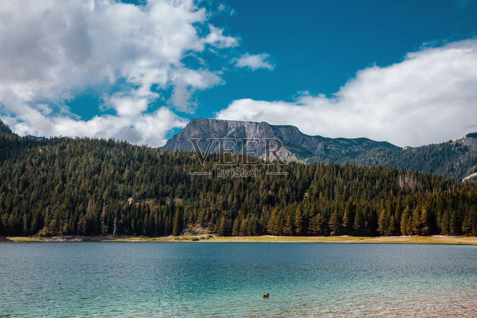 黑湖以松林和石山为背景。照片摄影图片