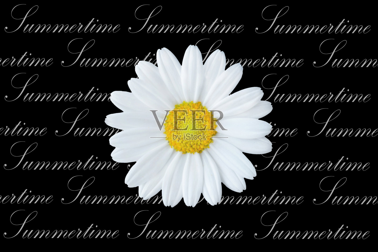 夏天戴西照片摄影图片