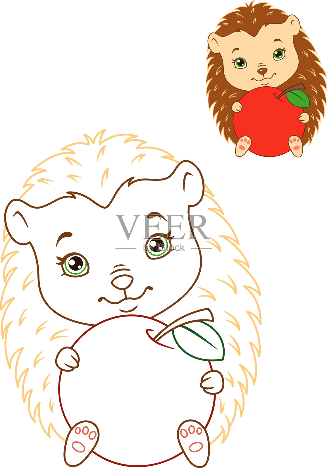 刺猬与苹果颜色的轮廓着色页插画图片素材