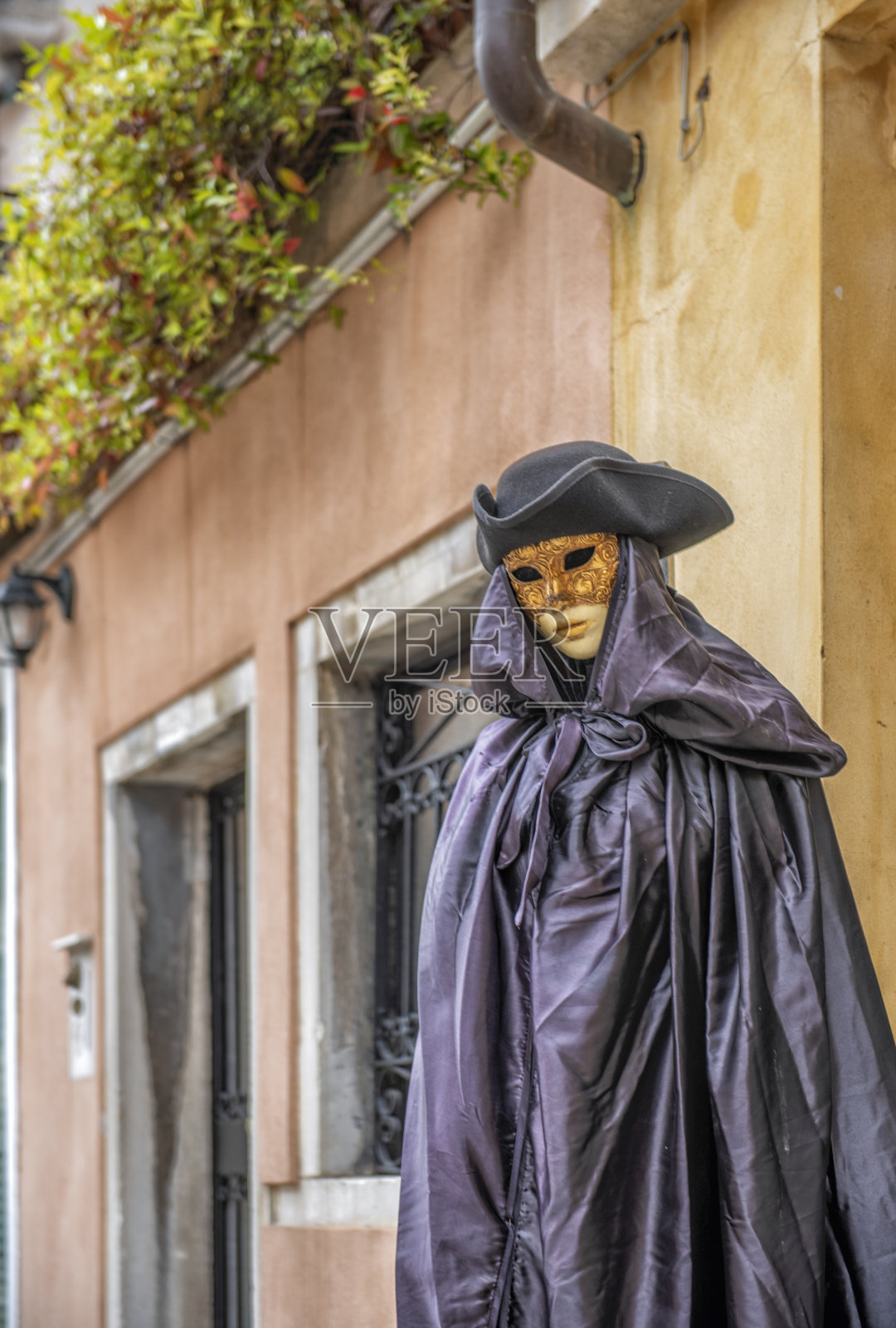 意大利威尼斯。一个狂欢节服装照片摄影图片