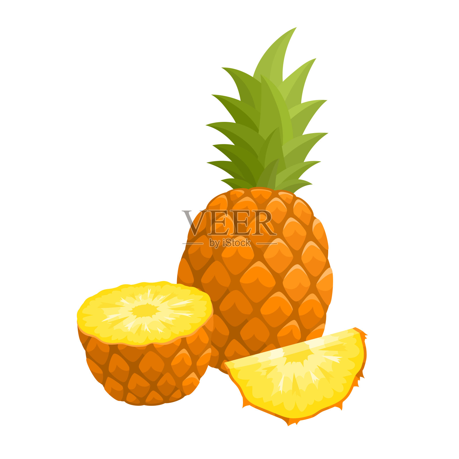 鲜菠萝分离在白色上的明亮矢量插图插画图片素材