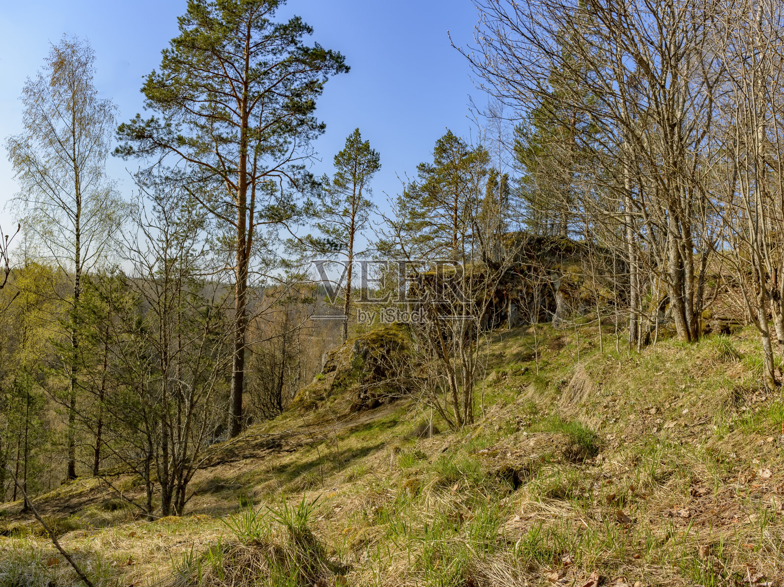 周末去卡累利阿共和国旅行。美丽的北方地区。照片摄影图片