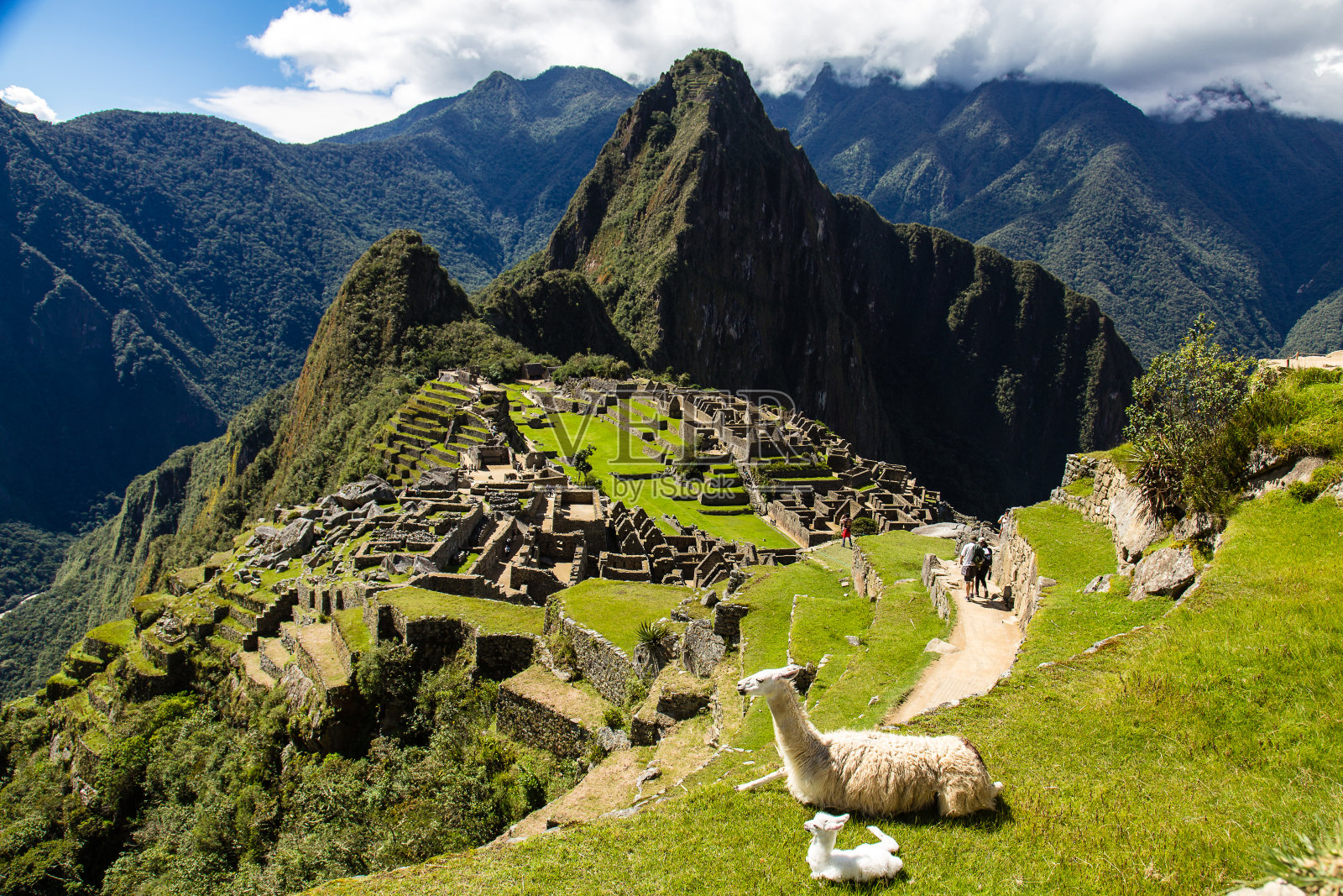 马丘比丘和学生照片摄影图片