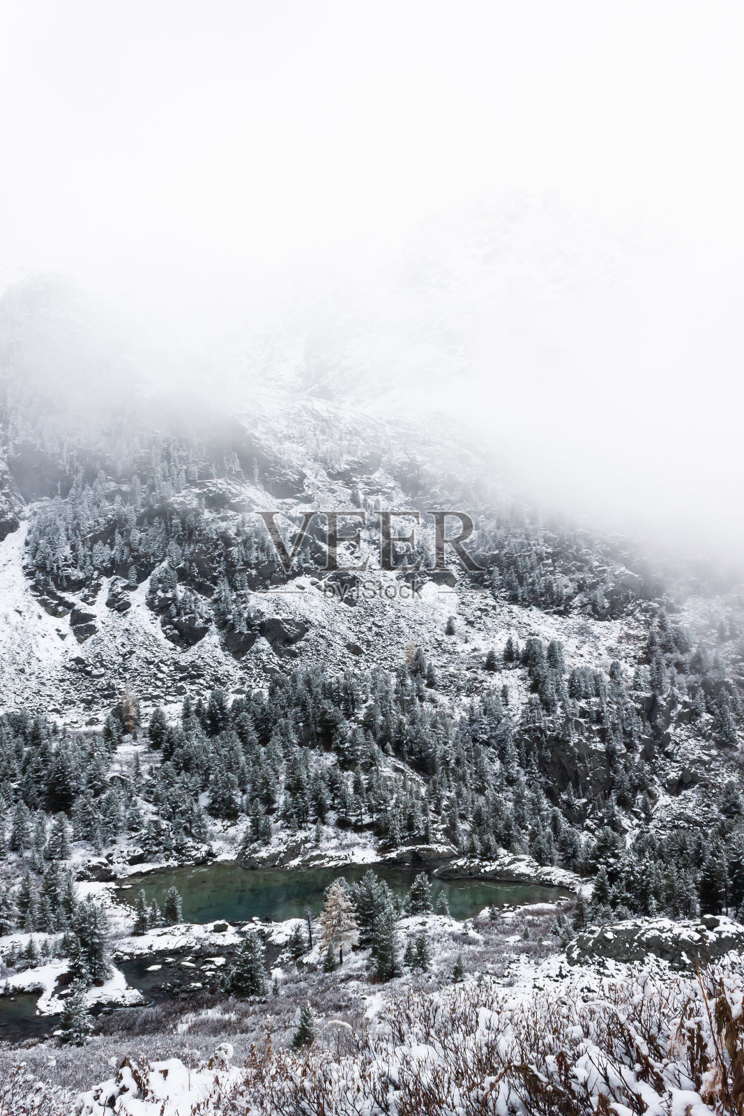 冬湖，雪在针叶林岸边的山湖照片摄影图片