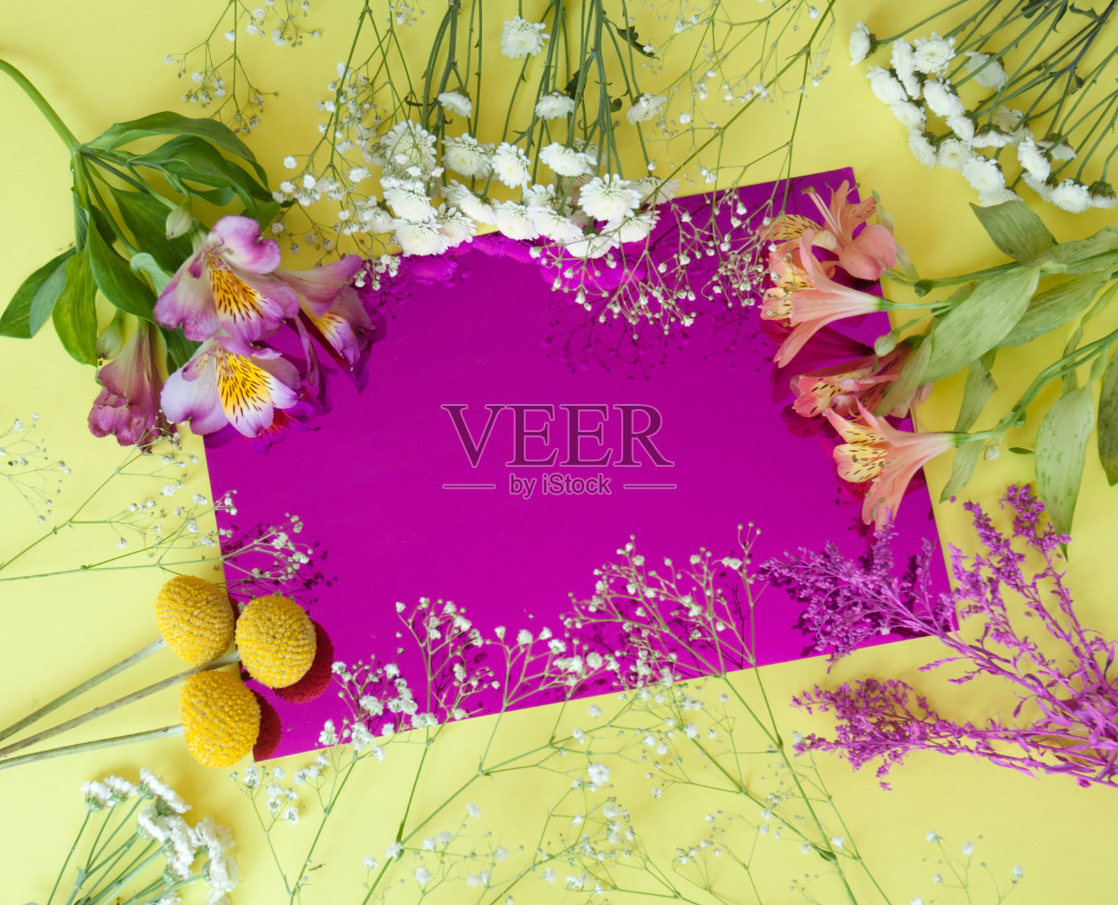 贺卡与夏天的花在粉红色的镜子背景。带花的文本框架。照片摄影图片