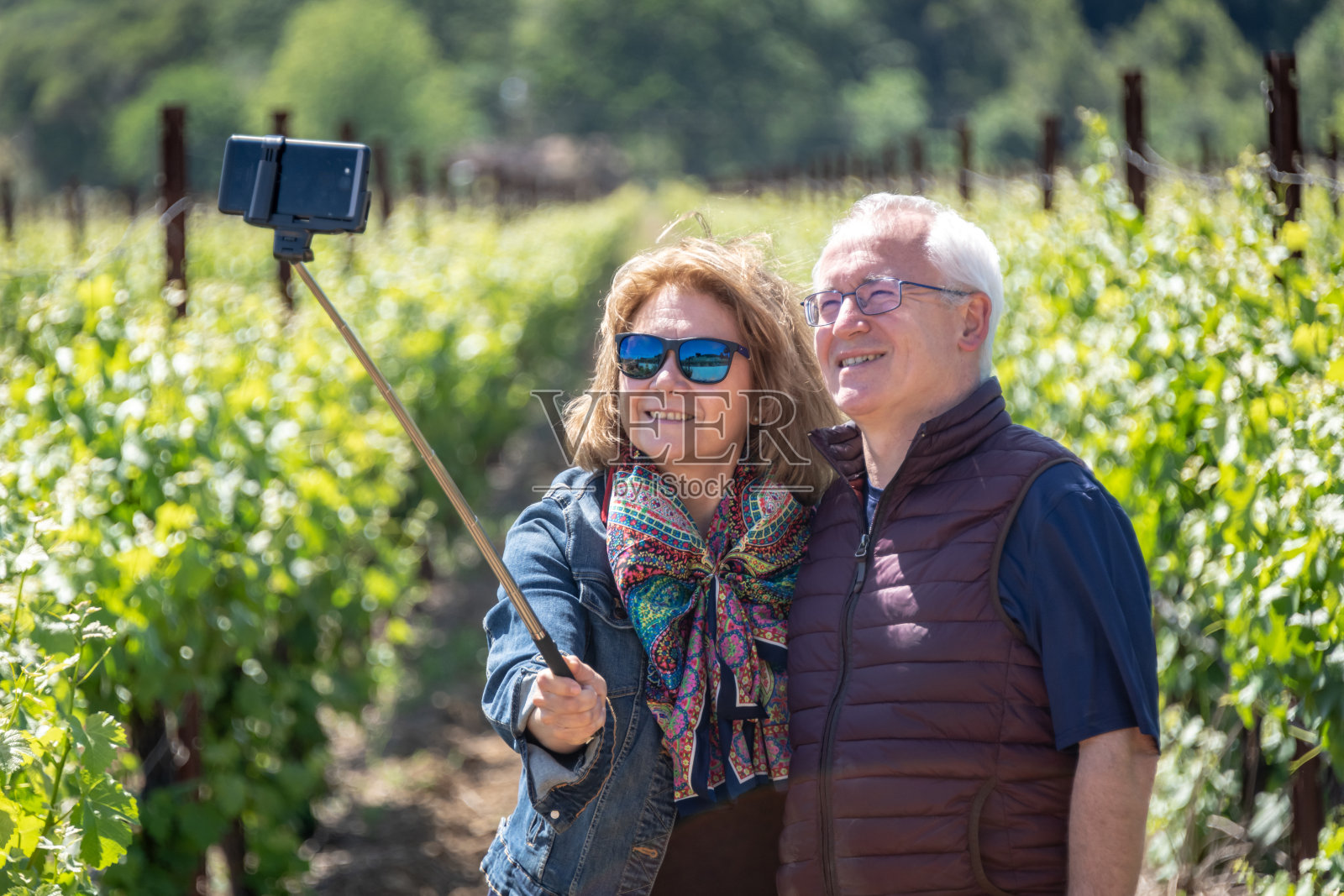 老年夫妇徒步穿越葡萄园时自拍照片摄影图片