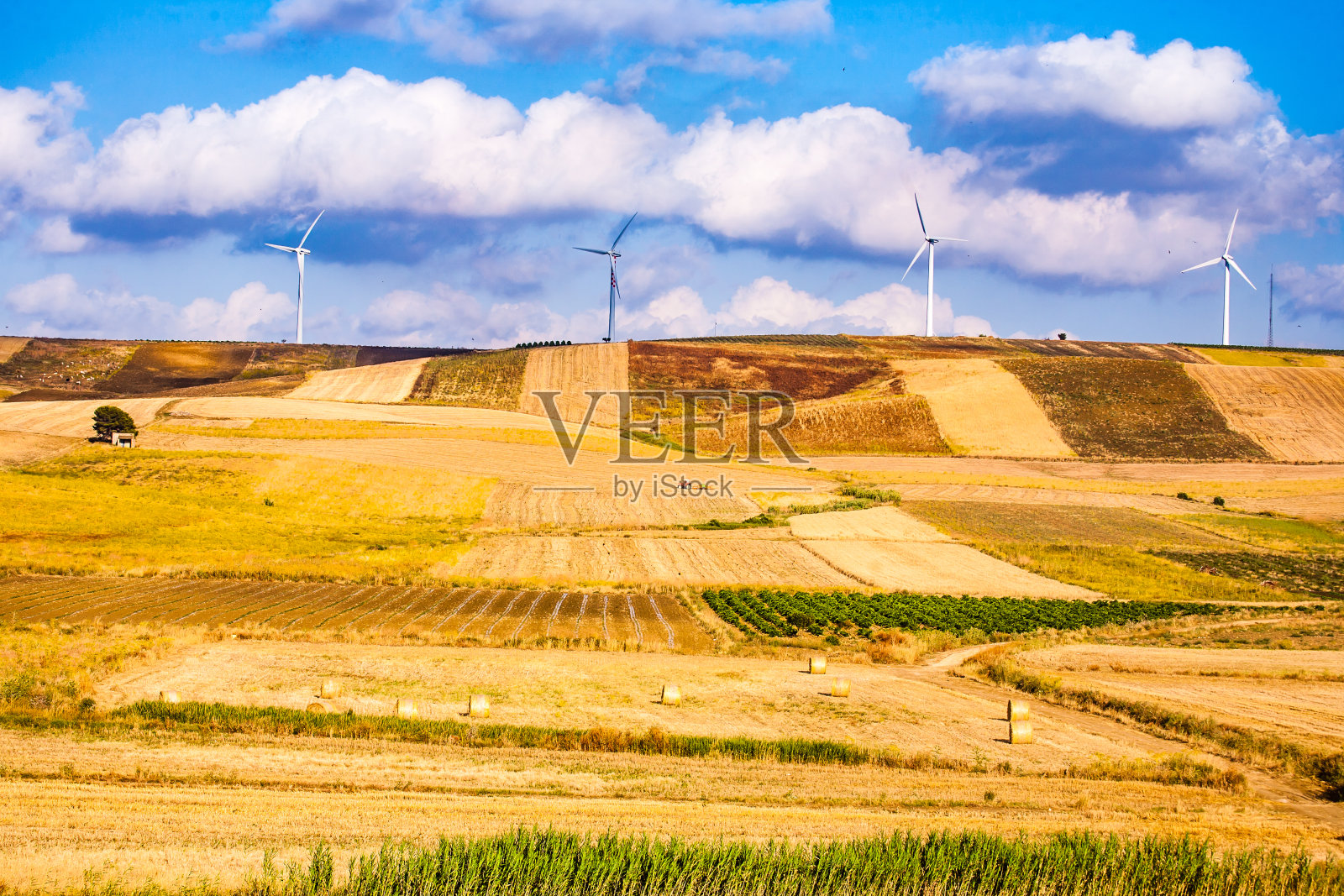 西西里照片摄影图片
