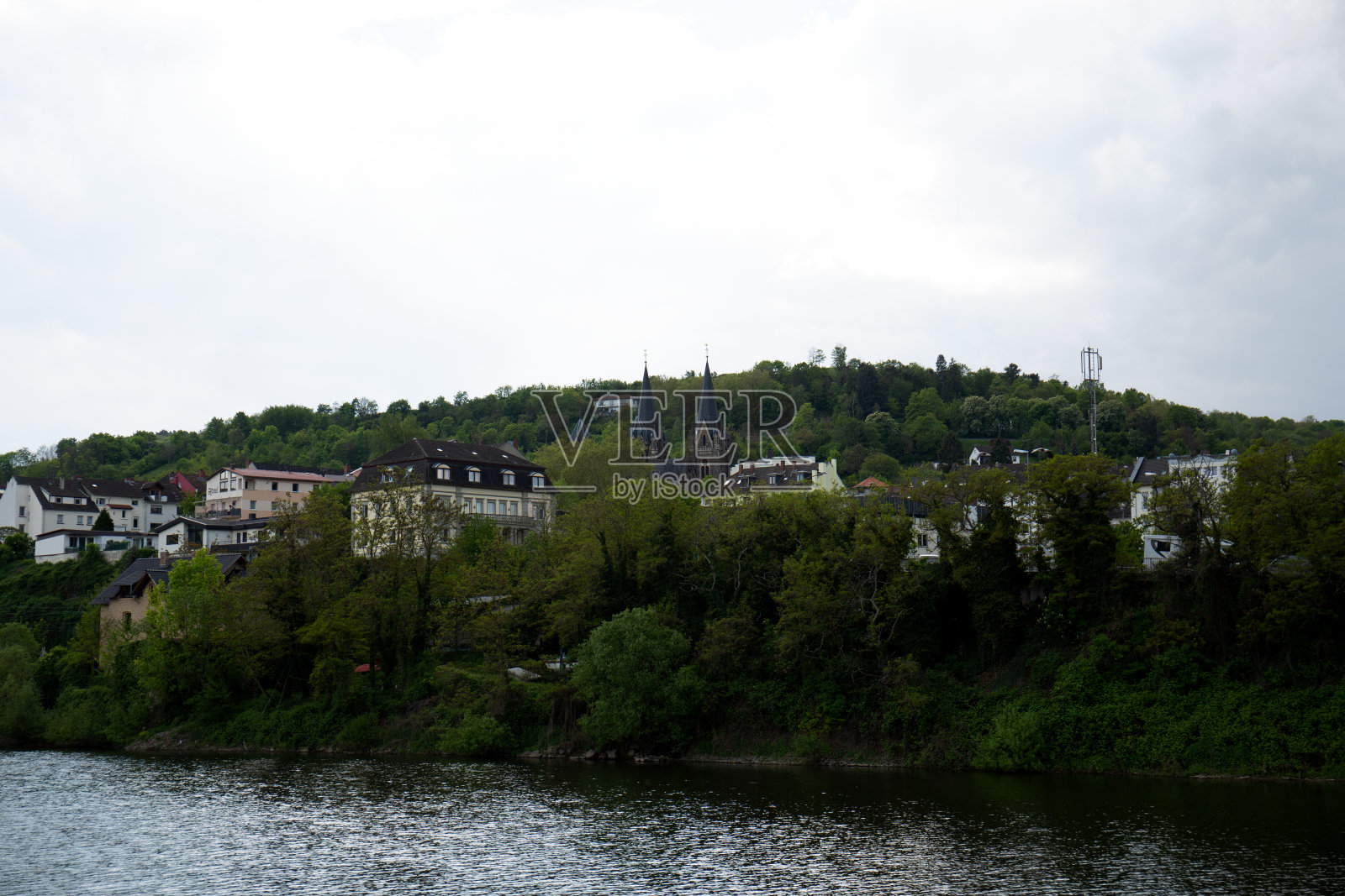 德国黑森市宾根市莱茵河旁的自然景观照片摄影图片